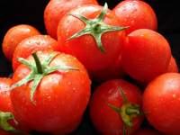 Як уникнути зараження помідорів