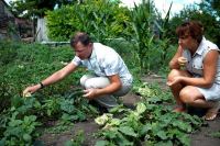 Олег Ляшко з дружиною Росітою порається на городі в гостях у тещі