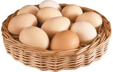 Куряче яйце рекомендоване навіть вегетаріанцям