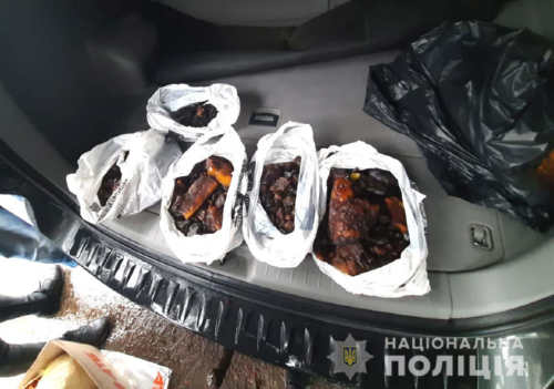 Понад вісім кілограмів бурштину виявили поліцейські на Рівненщині