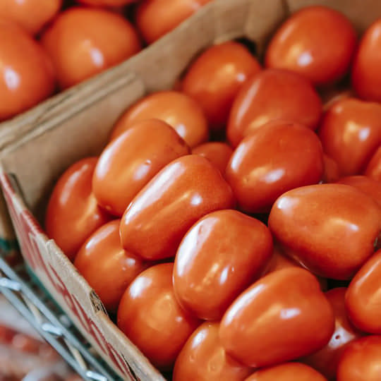 Не поспішайте викидати куплені томати: ефективні поради з покращення смаку овочів