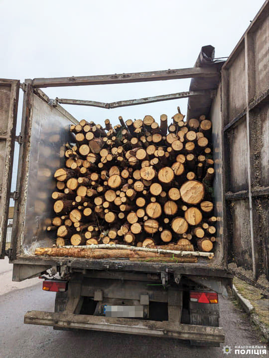 Замість кукурудзи виявили 38 кубів незаконної деревини