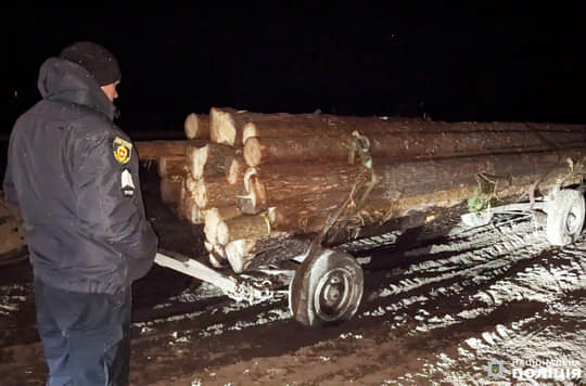 На Рівненщині поліцейські викрили осіб на незаконній порубці лісу