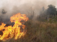 Пожежі у екосистемах