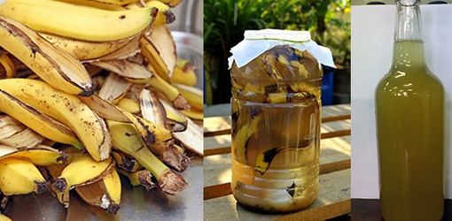 Біодобриво з банана допоможе навіть хворим вазонам