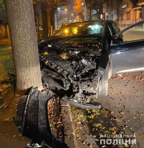 Водій легковика врізався у дерево
