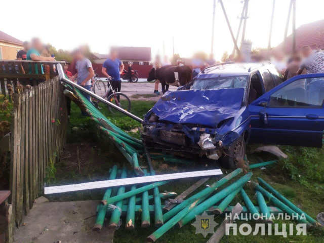 Нетверезий водій збив шість корів: дві загинуло