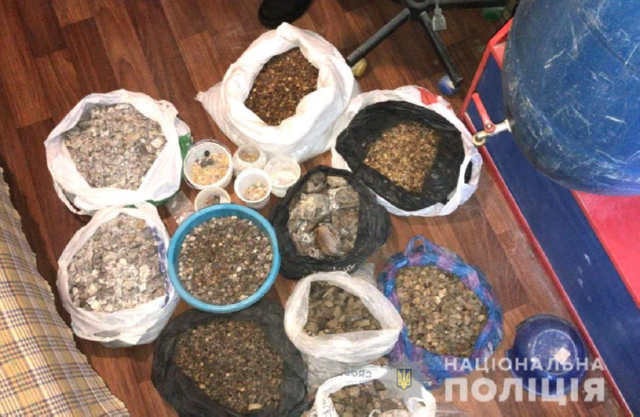 Судитимуть за зберігання бурштину