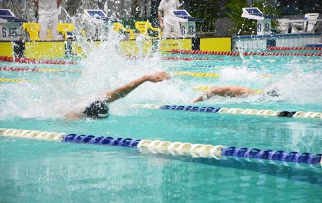 Рівненські плавці здобули тринадцять медалей на чемпіонаті