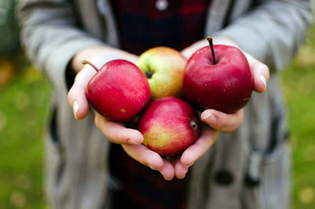 Медики розповіли, чому не можна їсти забагато яблук