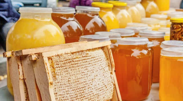 Як відрізнити якісний мед від підробки – робочі домашні способи покажуть справжню картину