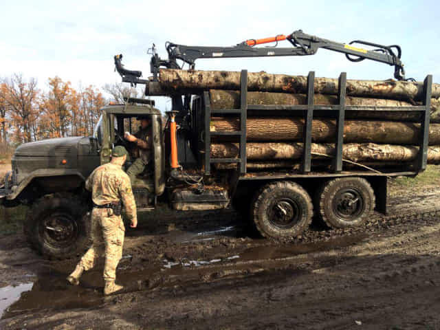 Втікав, бо не мав документів на деревину