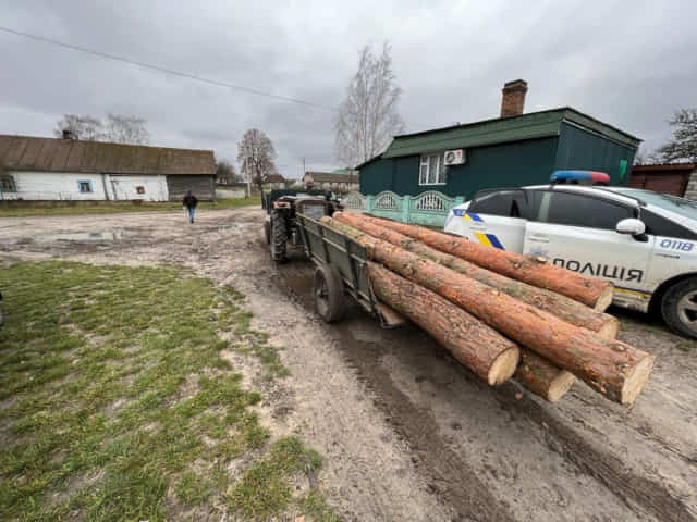 Зброя, бурштин, наркотики та «заготівельники» дров: поліцейські відпрацювали Вараський район