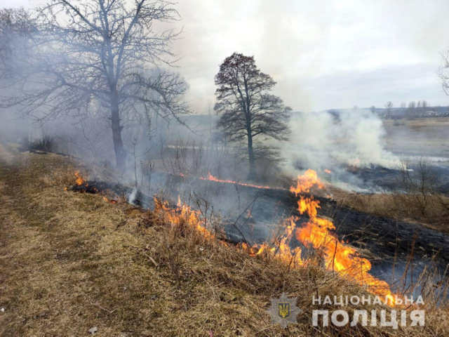 Спалювання сухостою – правопорушення