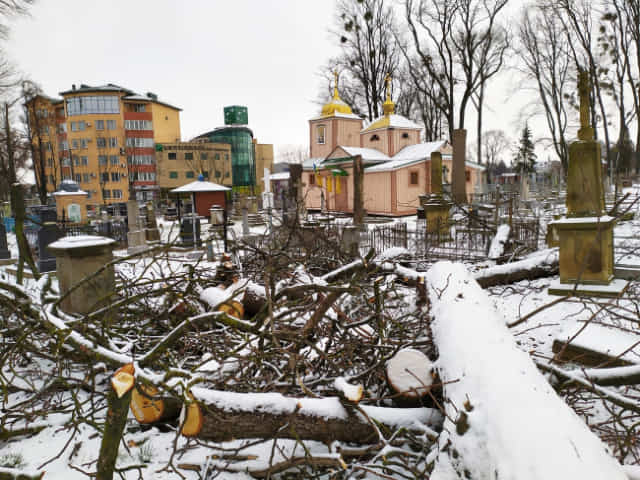 На кладовищах ріжуть дерева?