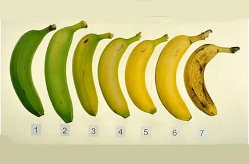 Зелені, жовті чи перестиглі: на яких бананах зупинити свій вибір?