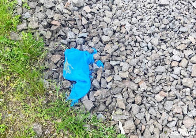 Потрапила під потяг і загинула