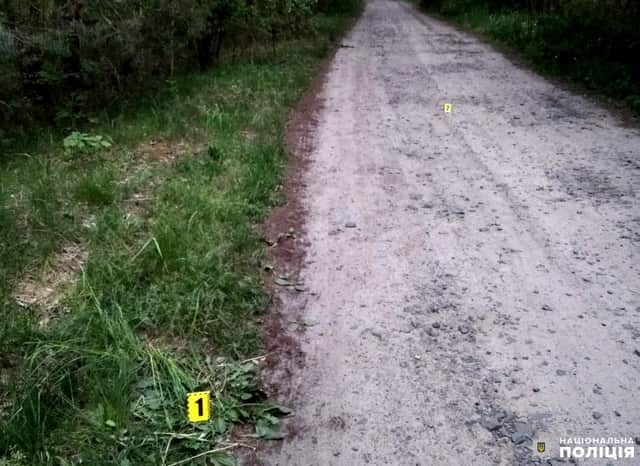 Мотоцикліст збив 6-річну дівчинку