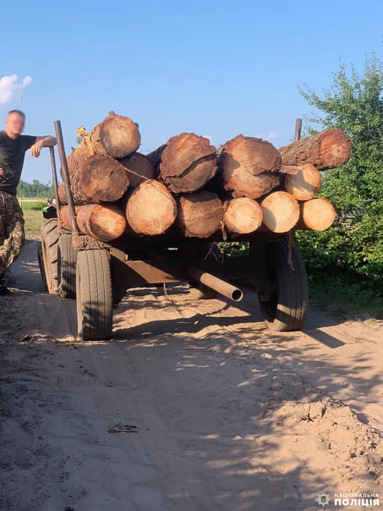 Незаконну порубку лісу задокументували поліцейські Вараського району